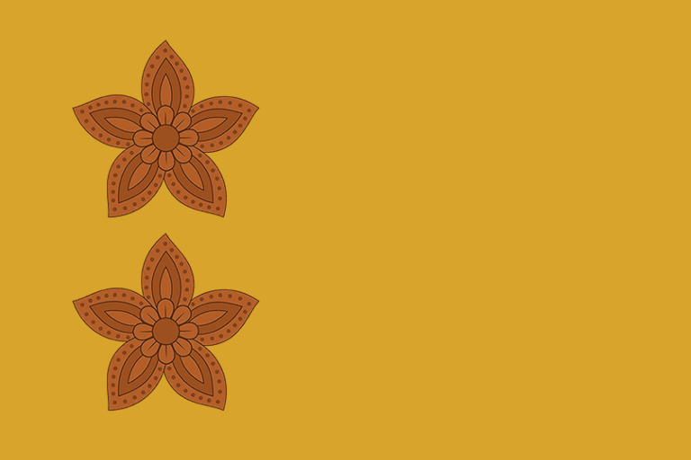 Файл:EU5-flag-ARU.png