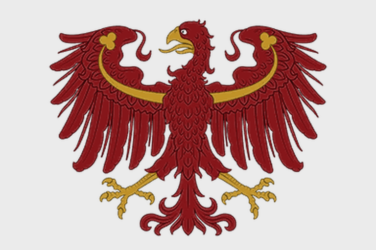 Файл:EU5-flag-variant-BRA.png