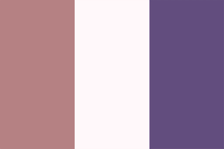 Файл:EU5-flag-variant-FRA revolutionary republic.png
