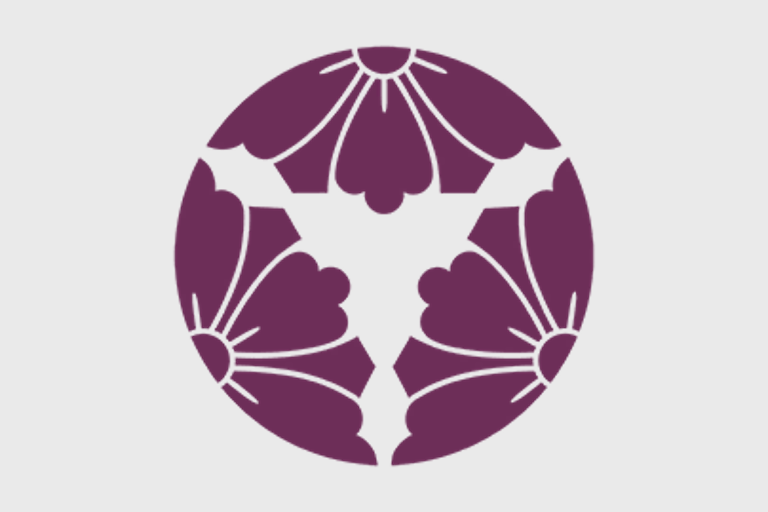 Файл:EU5-flag-AKI.png