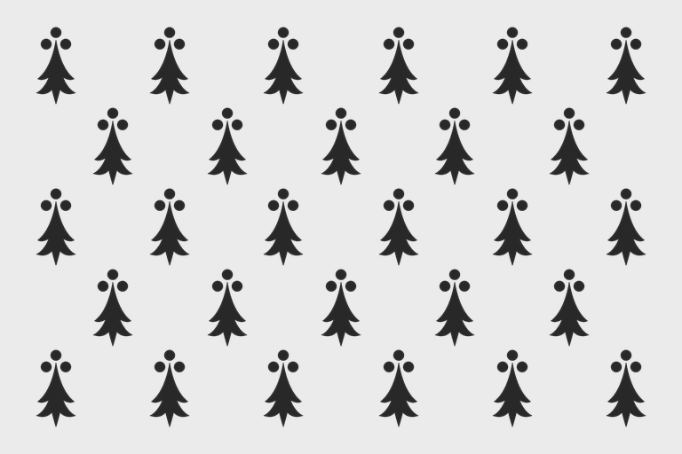 Файл:EU5-flag-variant-BRI.png