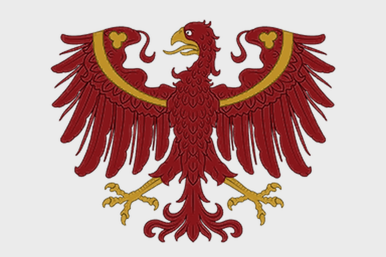 Файл:EU5-flag-variant-TIR.png
