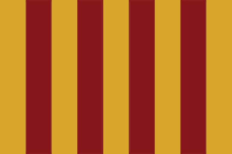 Файл:EU5-flag-variant-PRO county.png