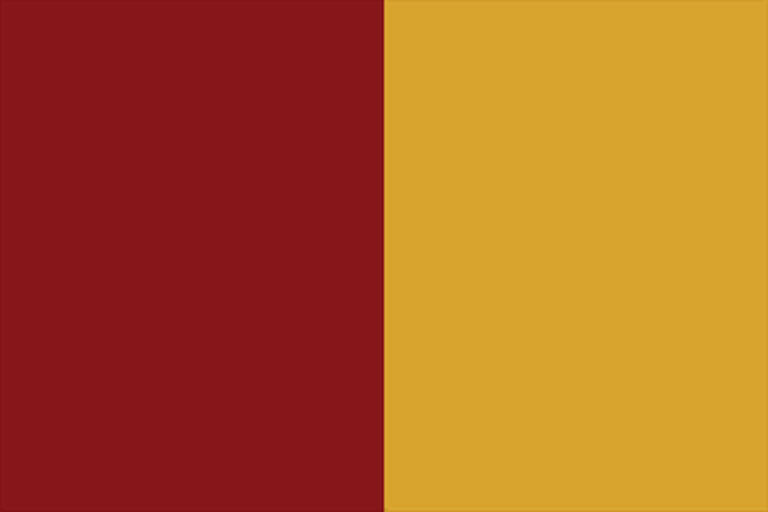 Файл:EU5-flag-variant-PAP bicolor.png
