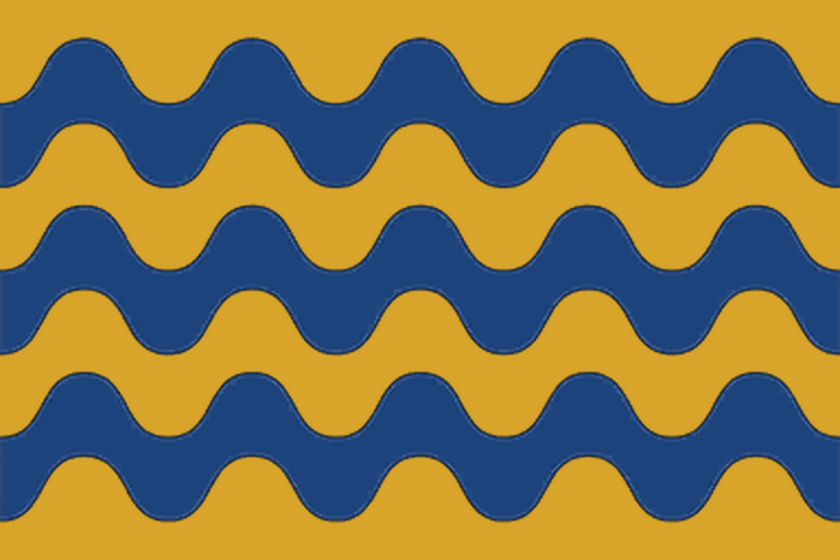 Файл:EU5-flag-variant-COT.png
