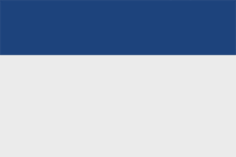 Файл:EU5-flag-variant-SAL.png