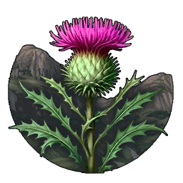Файл:EU5-batch-advance-scottish-highland-tradition.webp