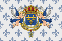 Вариант флага державы
