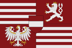 Особый вариант — вариант 13