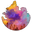 Холи