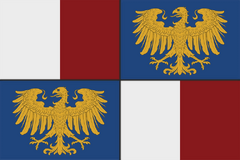 Особый вариант