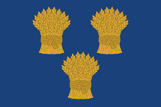 Флаг: Честер