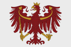Особый вариант — вариант 2