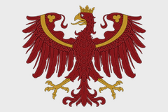 Особый вариант