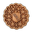 Бану Наср