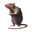 disease
