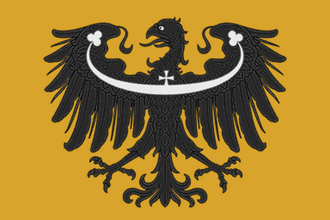 Флаг: Олесница