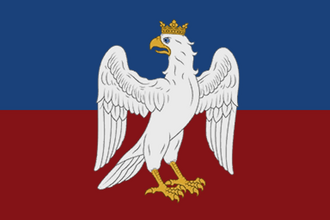 Флаг: Суздаль