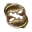 Древние корни