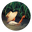 Водяной рис