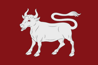 Флаг: Бырлад
