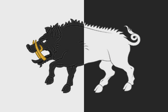 Флаг: Бере