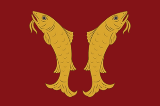 Флаг: Феррет