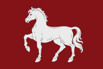 Флаг: Яссы