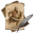 Гази