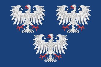 Флаг: Лейнинген