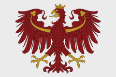 Особый вариант — вариант 1