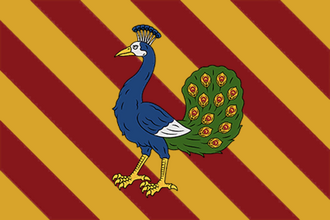 Флаг: Вид