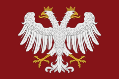Основной флаг
