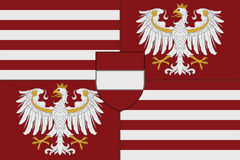 Особый вариант — вариант 9